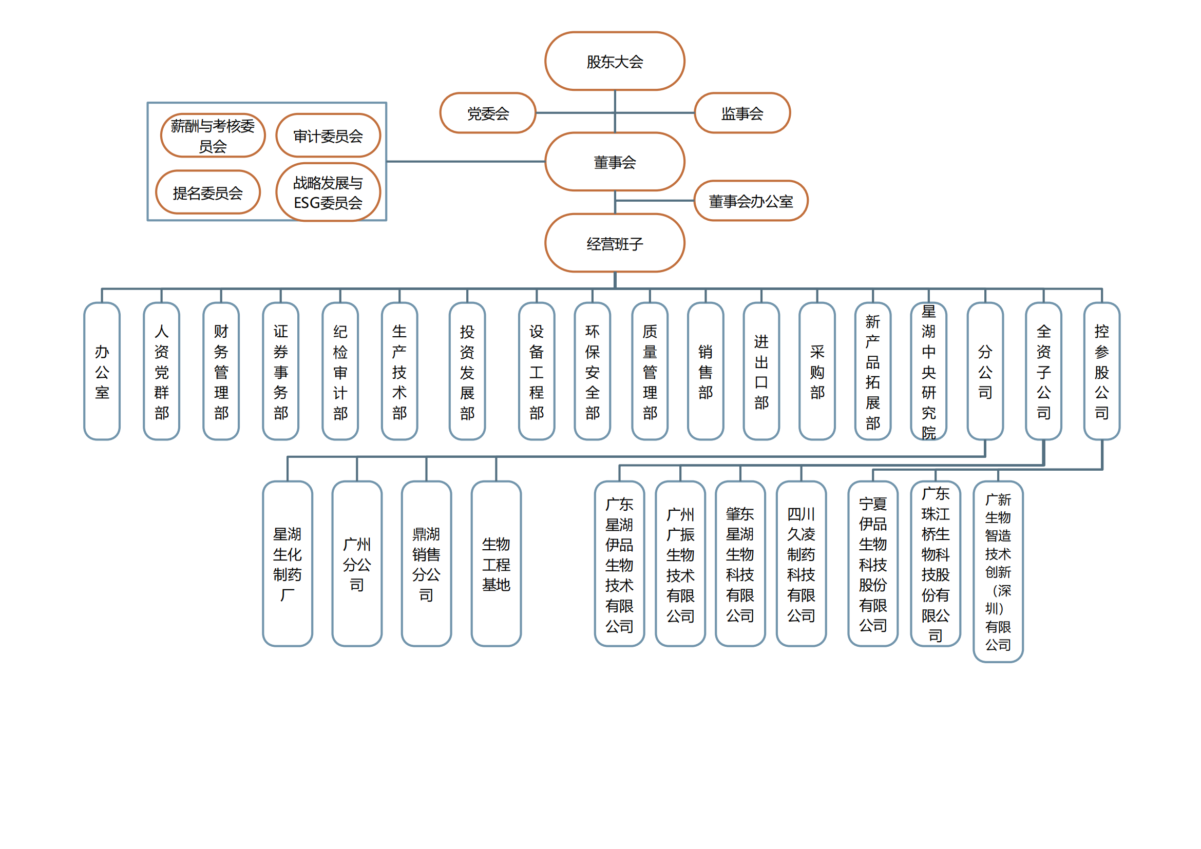 星湖科技组织架构图