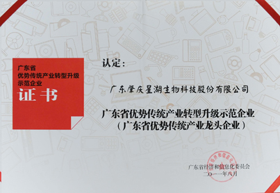 广东优势传统产业转型升级示范企业证书